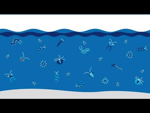 how chevron produces energy in central california