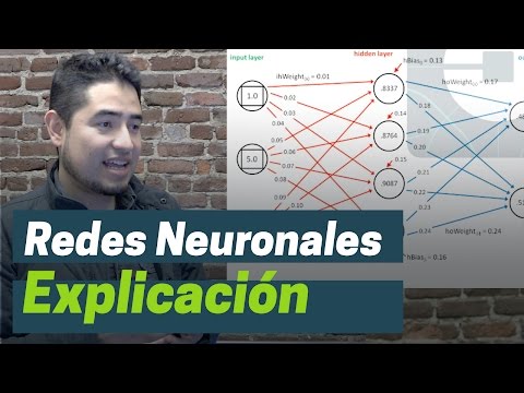 Qué es una red neuronal
