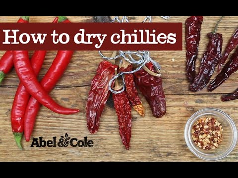 Cayenne Chillies, Organic (100g)