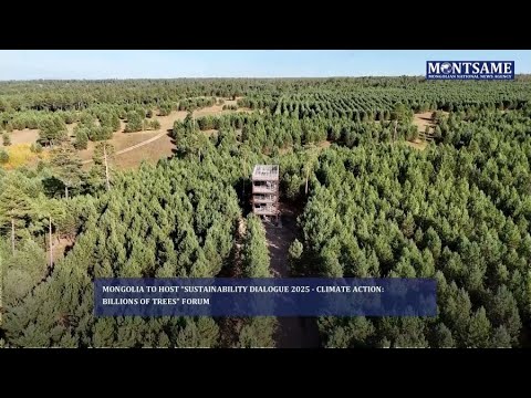 Mongolia to Host “Sustainability Dialogue 2025 - Climate Action: Billions of Trees” Forum