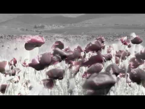 Pink Milk - space punk