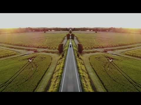 Pink Milk - space punk