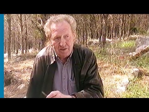מדליקי המשואות תשנ